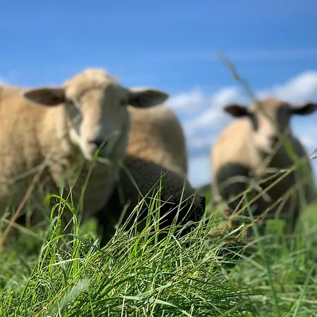 Airbnbtrebon - Modern Διαμέρισμα *