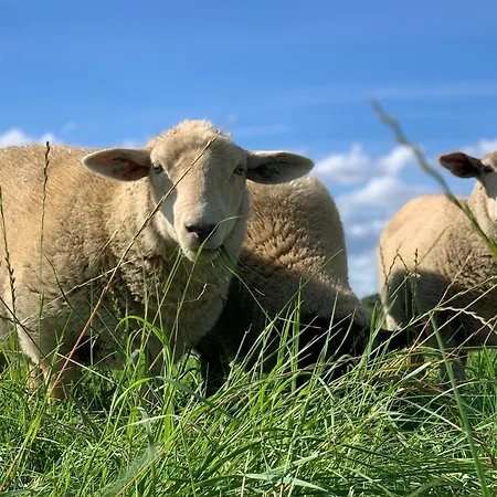 Διαμέρισμα Airbnbtrebon - Modern Třeboň