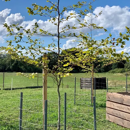 Airbnbtrebon - Modern Διαμέρισμα *